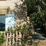 Hysope * Chateau-Arnoux-Saint-Auban