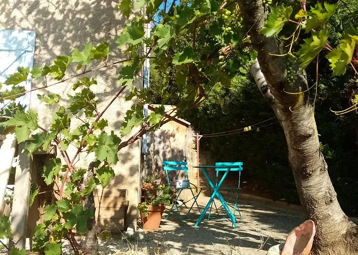 Hysope * Chateau-Arnoux-Saint-Auban