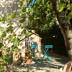 Hysope * Chateau-Arnoux-Saint-Auban