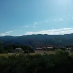 Hysope Chateau-Arnoux-Saint-Auban