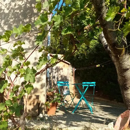 Hysope * Chateau-Arnoux-Saint-Auban