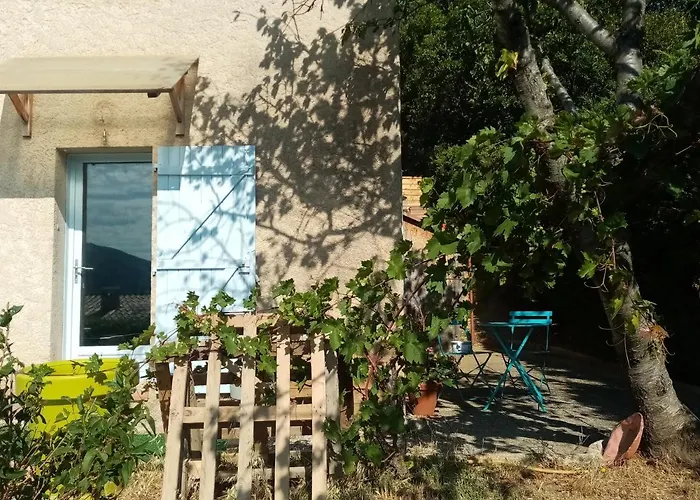 Hysope * Chateau-Arnoux-Saint-Auban