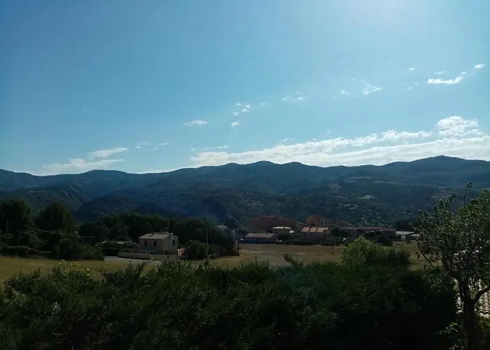 Hysope Chateau-Arnoux-Saint-Auban